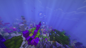 Coral Beauty.