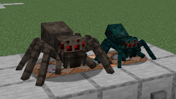 Spider Edit