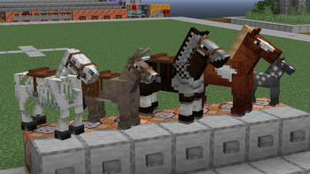 Classic Horses Edit