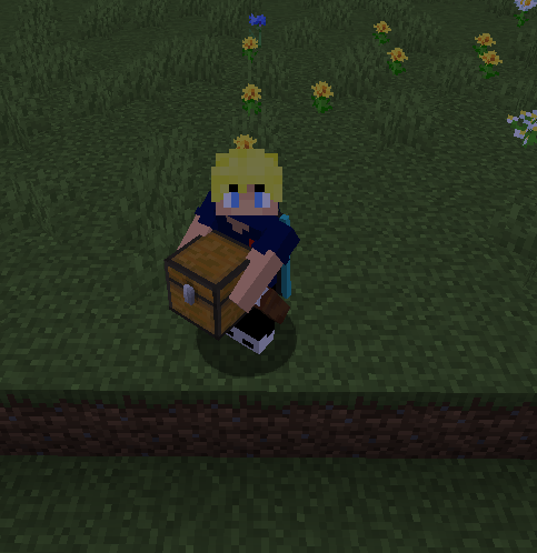 You can carry many Blocks