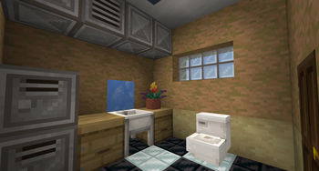 Bathroom Build