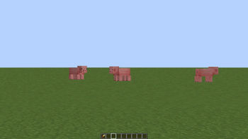 Default field of view