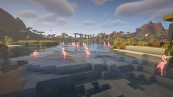 Flamingos