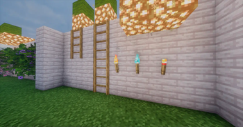 Torchs and ladder