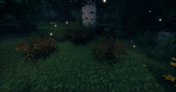 firefly