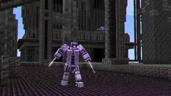 The Sentinel and the sentry