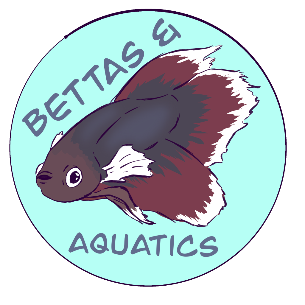 DragN’s Bettas & Aquatics!