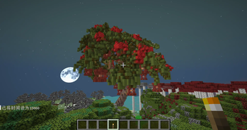 begonia tree