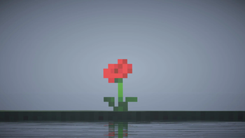 A rose in the distance