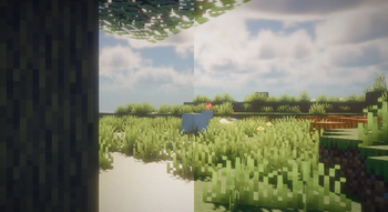 Turtle Imaged Vs TurtleShaders