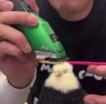 ParkaBird