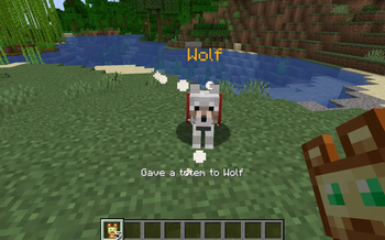 applying totem