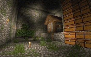 Minceraft [Bonus Level]