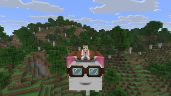 Fix unsymmetrical harness goggles — screenshot 1