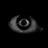 Totem Of Darkness