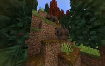 bear