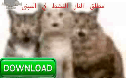 spookeh_cats