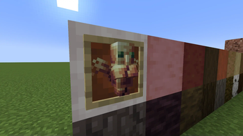 in item frame