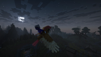 Riding Pidgeot in The Night Sky