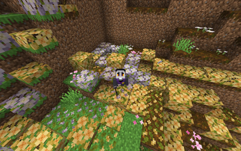 Oh The Biomes We've Gone Sakura leaf piles