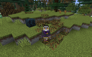 Biomes o' Plenty Dead leaf piles