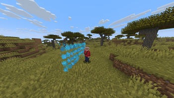 Protebarrier