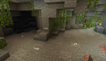 Cave