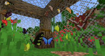Atlas Moth