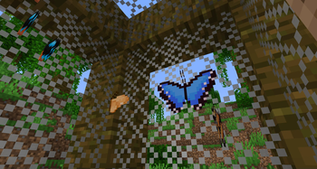 Blue Morpho
