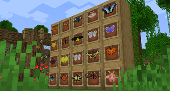 Butterfly Frames
