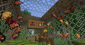 Queen Butterflies