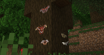 Moth Variants