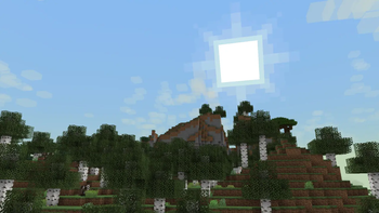 Birch forest