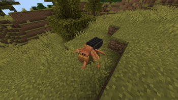 CamelSpider