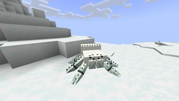 Snow Tarantula