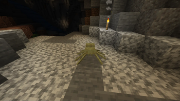Cave Spiderling