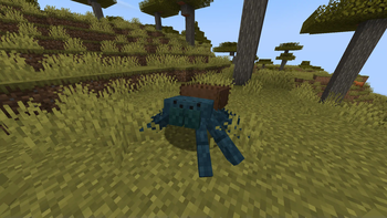 Greenbottle Blue Tarantula