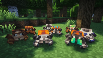 Jumping spiders