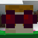 Goggles: On