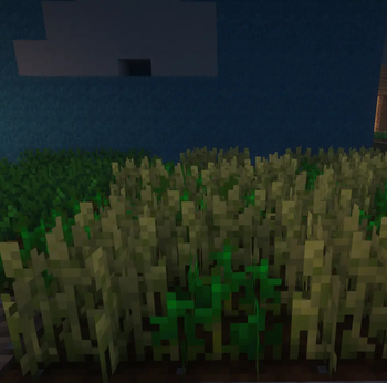 it change wheat texture