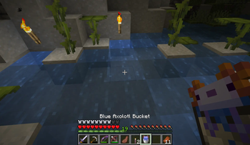 Custom Bucket Names