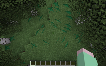 Naturally spawned Better Grass