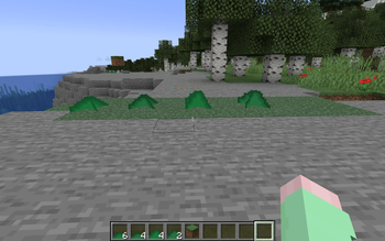4 grasses