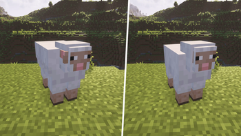 Realistic Sheeps