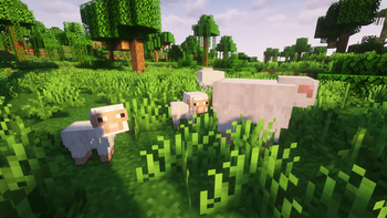 Realistic Sheeps