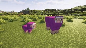 Realistic Sheeps