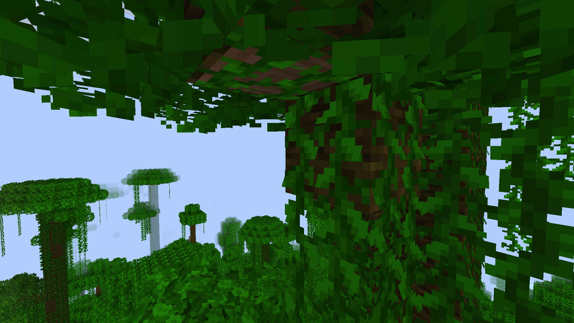 View of jungle trees and bushy vines from atop jungle canopy