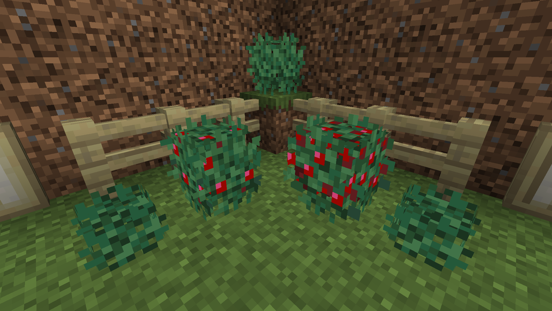 Showcase of the new models for each growth stage of the sweet berry bush