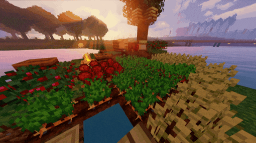 Ready Crops