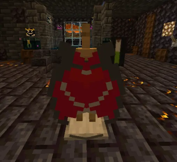 Special Elytras
